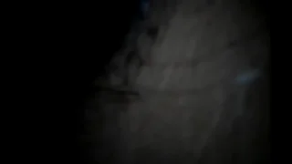 scoody gender kendra hard